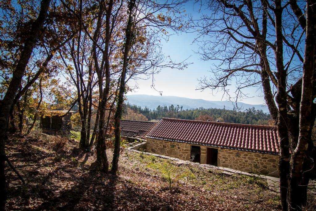 Hostal Casas Dos Avos Vale de Cambra Habitación foto